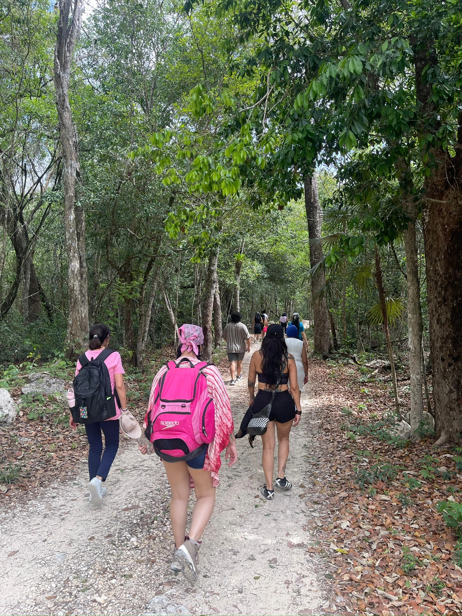 Caminata en sendero entre árboles durante el retiro en Tulum